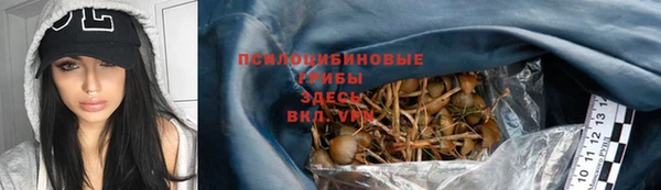 винт Нея