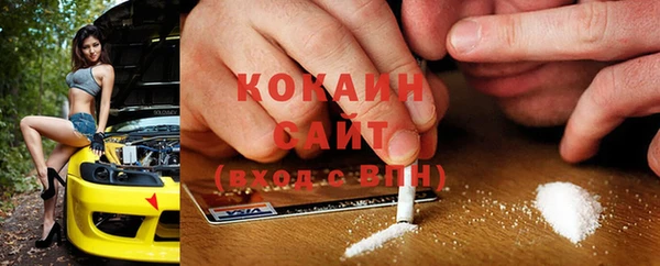 винт Нея