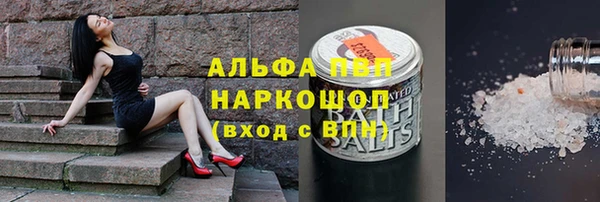 винт Нея