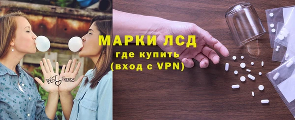 индика Белая Холуница