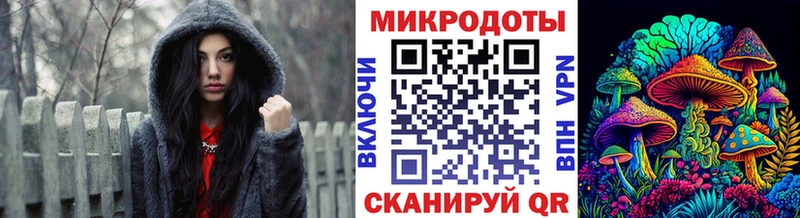 Псилоцибиновые грибы Psilocybe  купить  цена  Старый Крым 